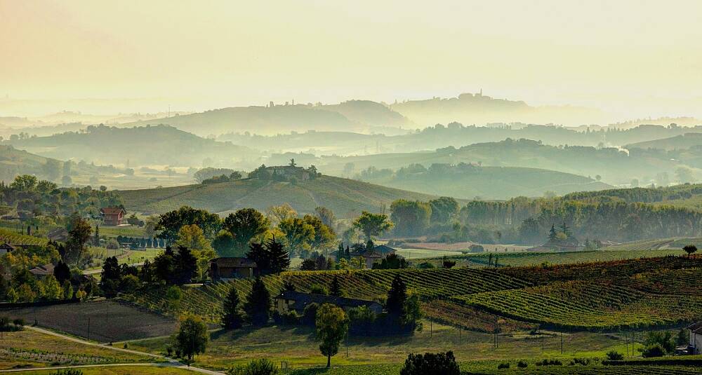 Barbera-paradiset Asti og Monferrato