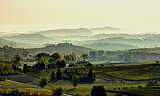 Barbera-paradiset Asti og Monferrato