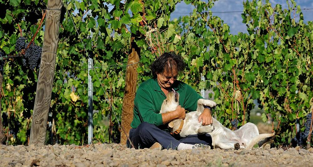 Å lage vin på Etna er svært nær smertegrensen ifølge Marco de Grazia på Terre Nere