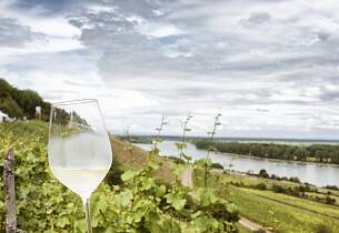 Smak noen av Mosels beste viner i Trondheim