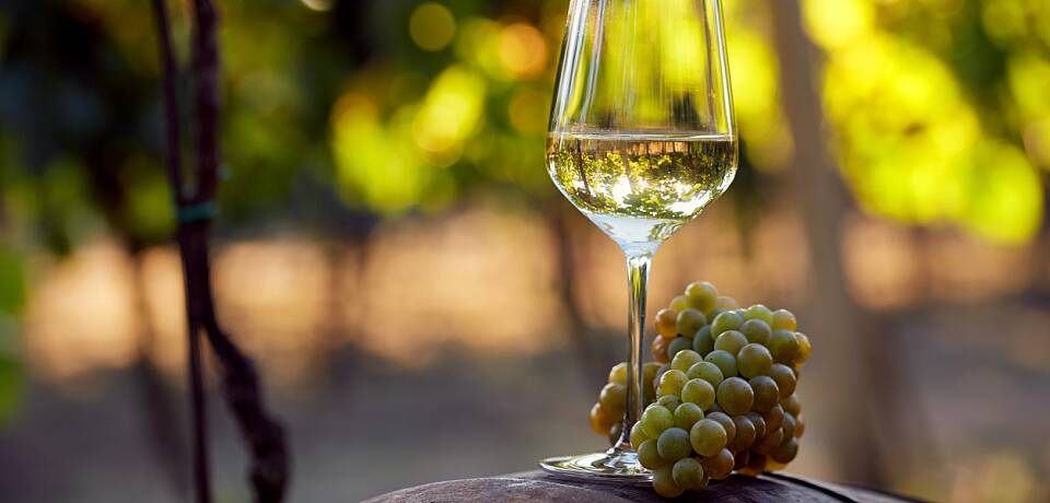 Fordyp deg i chardonnay fra Vin de France til ekte Grand Cru