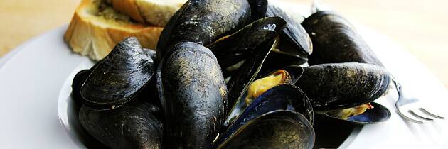 Når blåskjell dampes i chardonnay, blir de ekstra gode