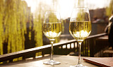 Smak hundrevis av viner på Rieslingmessen 2023