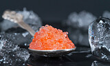 Rognkjekskaviar fortjener en plass på festbordet