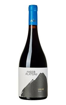 Andes Plateau Cota 500 Syrah