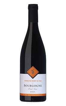 Dom. Remy Bourgogne Pinot Noir