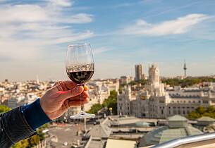 Vinmesse: Smak flere hundre viner fra Spania