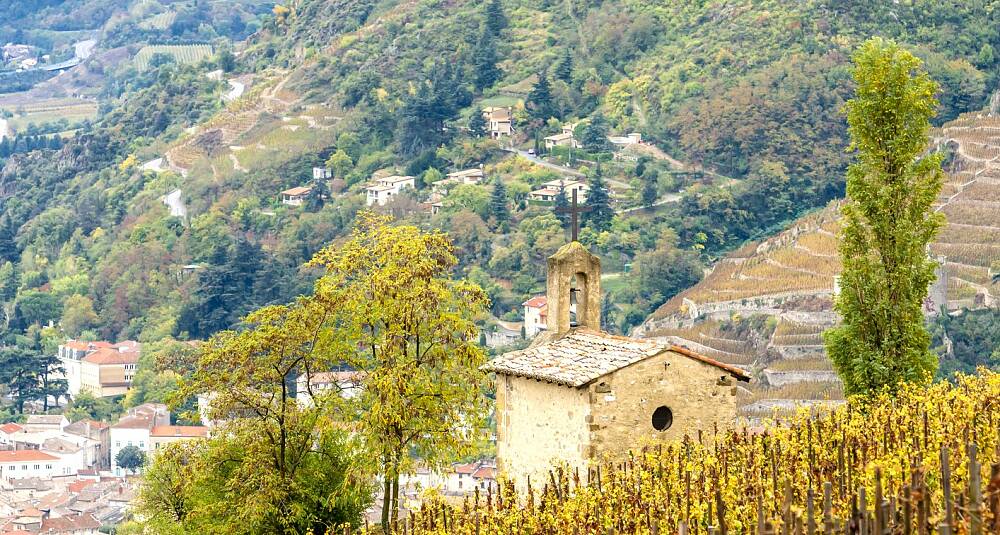 Jamet, Clape og Graillot er kolleger i syrah fra Rhône