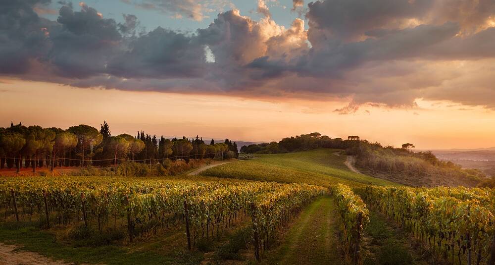 Chianti Colli Fiorentino får ekstra drahjelp av å tilby romantisk ramme for brylluper og kjendiser
