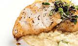 Når fisken serveres med risotto, trenger du verken saus, grønnsaker eller poteter