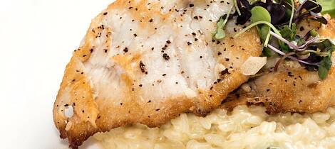 Når fisken serveres med risotto, trenger du verken saus, grønnsaker eller poteter