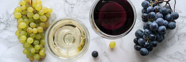 Nyt smaken av elegante viner fra Burgund og Limoux