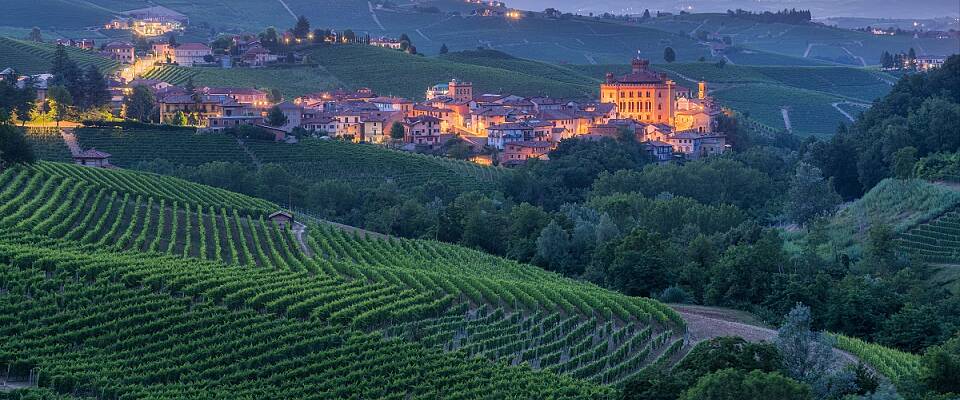 Vinprodusenter står sammen for å beskytte barolo
