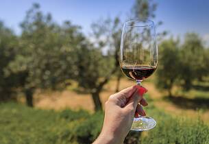 Nyt 20 år gammel ikonisk chianti classico fra en av de virkelige pionerne