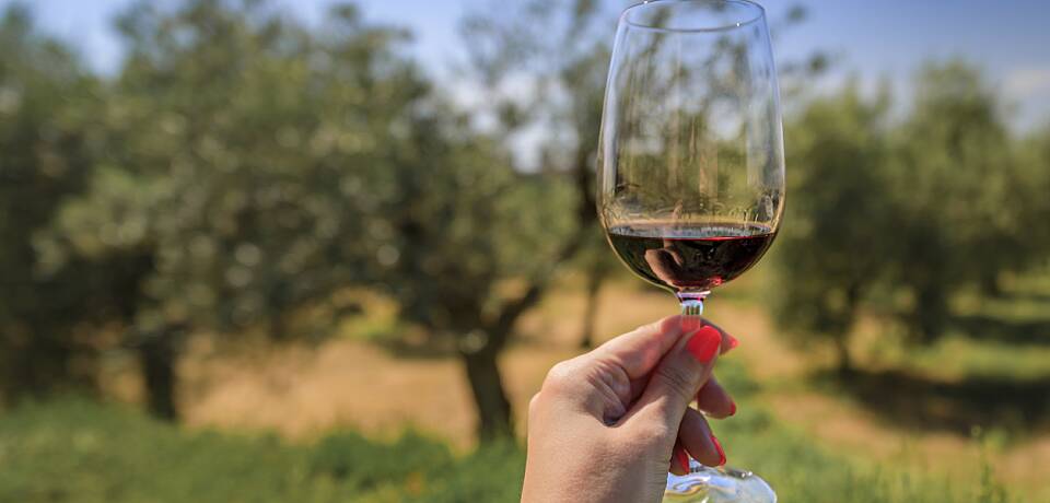 Nyt 20 år gammel ikonisk chianti classico fra en av de virkelige pionerne