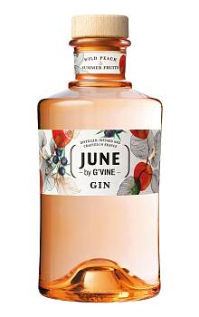 G'vine June Gin Peach