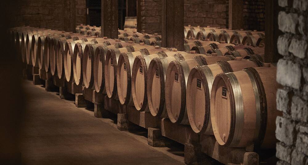 Eksklusiv vinsmaking med utvalgte viner fra Burgund
