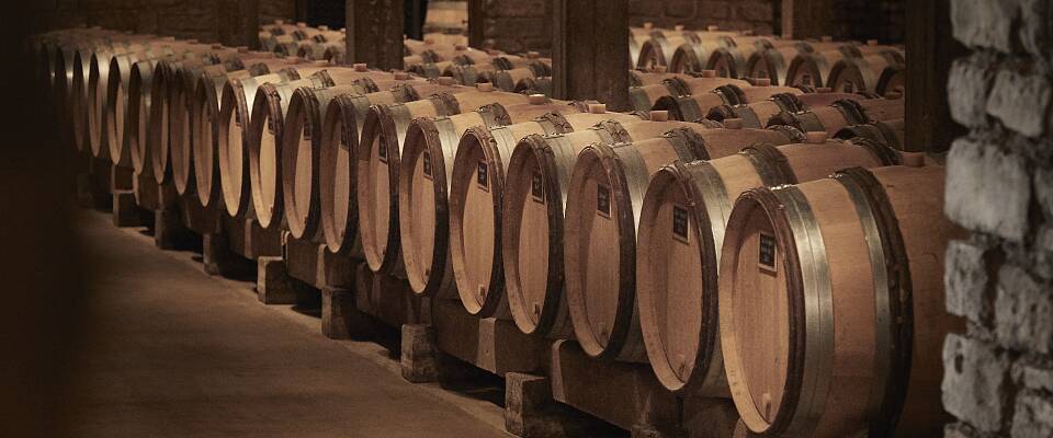 Eksklusiv vinsmaking med utvalgte viner fra Burgund