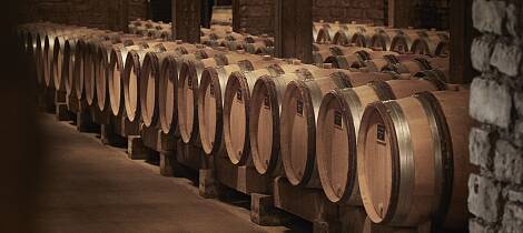 Eksklusiv vinsmaking med utvalgte viner fra Burgund
