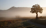 Vin fra Languedoc: Økende finesse og større dybde