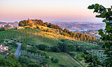 Verdicchio di Castelli di Jesi er topp vin som tidligere ble tappet i kitsch flaske