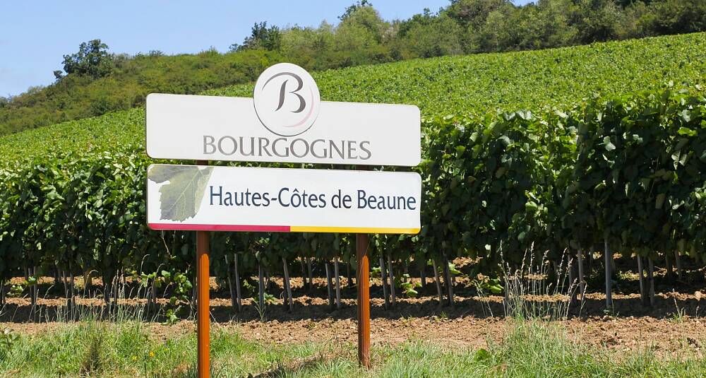 Smaksguide til Côte de Beaune
