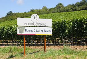 Smaksguide til Côte de Beaune