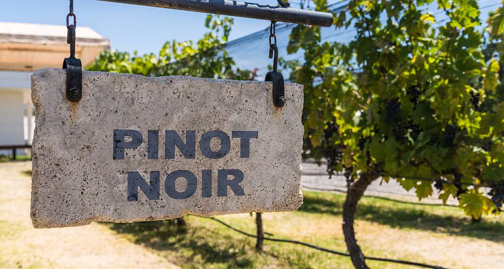 Utforsk 6 stiler pinot noir kombinert med småretter