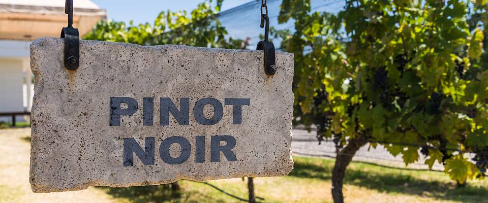 Utforsk 6 stiler pinot noir kombinert med småretter