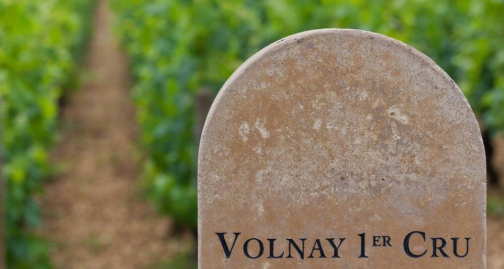Begrenset antall plasser: Møt ikonisk vinprodusent og smak 8 flotte viner fra Burgund