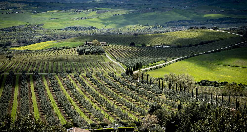 Smak 7 strålende viner fra Montalcino - Toscanas grand cru