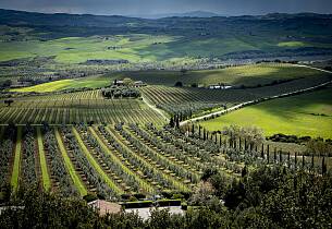 Smak 7 strålende viner fra Montalcino - Toscanas grand cru