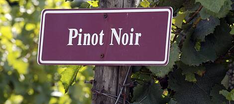 Eksklusiv pinot noir vertikalsmaking på ASIA