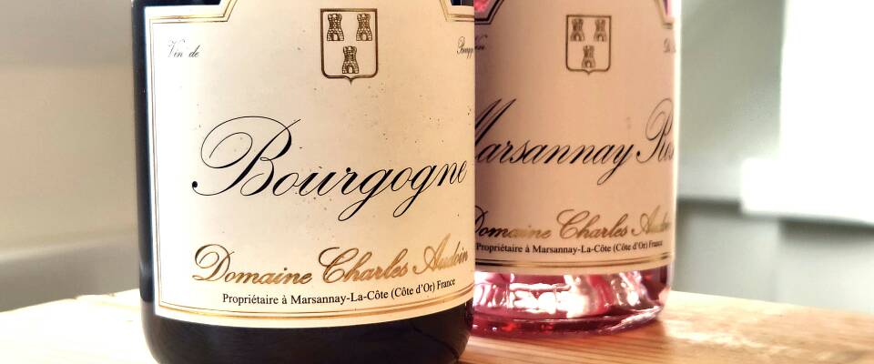 Pinot noir fra denne Burgund-utposten i 2022-årgang smaker knallgodt