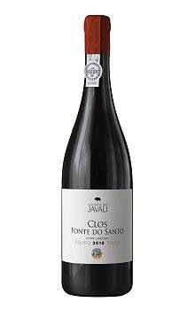 Quinta do Javali Clos Fonte do Santo Stone Vineyard
