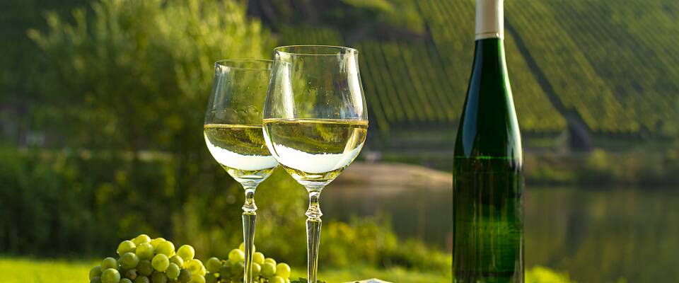 Utforsk smaken av tyske viner i verdensklasse