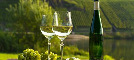 Utforsk smaken av tyske viner i verdensklasse