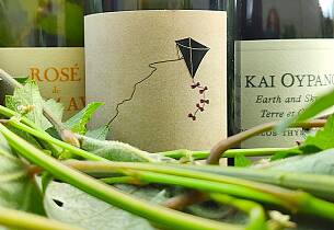 Søker du gresk vin på polet, kommer du ikke utenom denne produsenten
