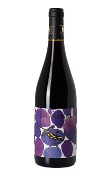 Ch. Saint Cyrgues Salamandre Rouge