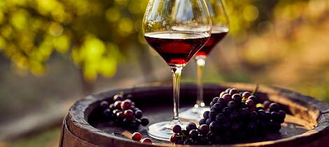 Vinsmaking for deg som elsker toppviner fra Piemonte