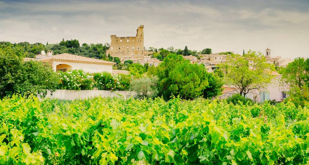 Hvor grenache er konge