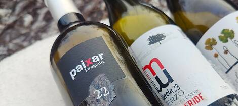 Mencia fra Bierzo er årets vinstil