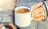 Nå er sesongen for toddy