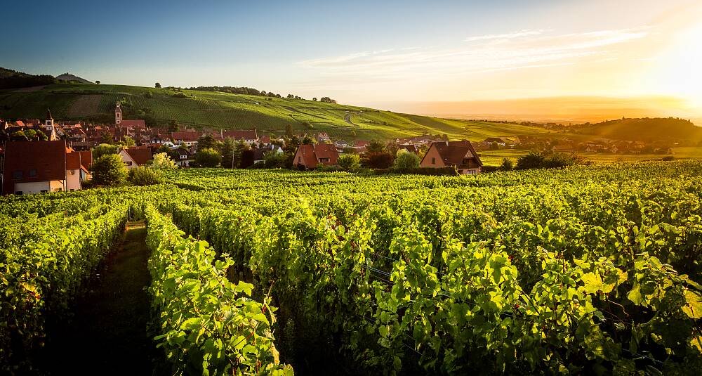 MASTERCLASS BEINSPIRED: Hugel & Fils