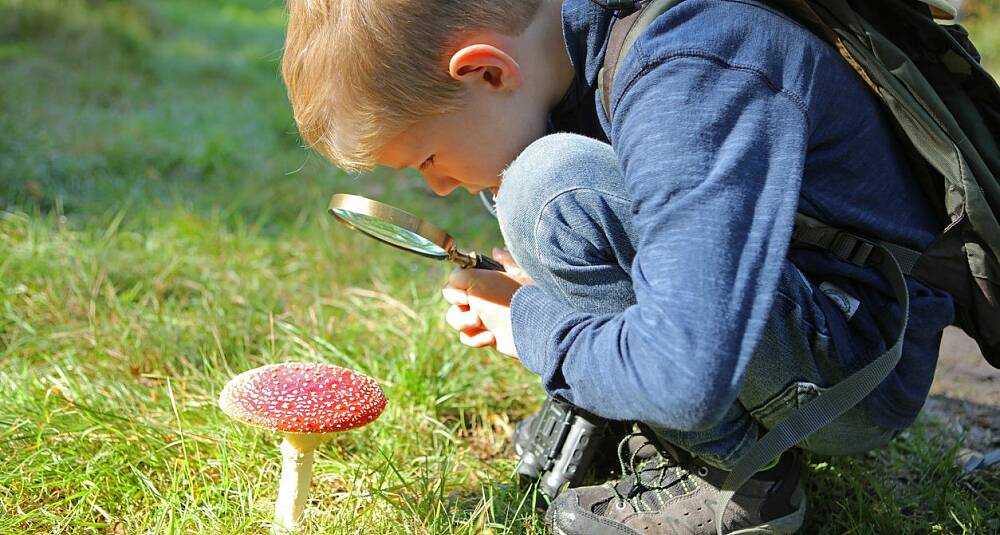 Lag fluesopp til halloween til barna Lag fluesopp til halloween til barna