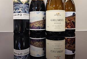 Her får du et nytt syn (og smak) på chilensk vin