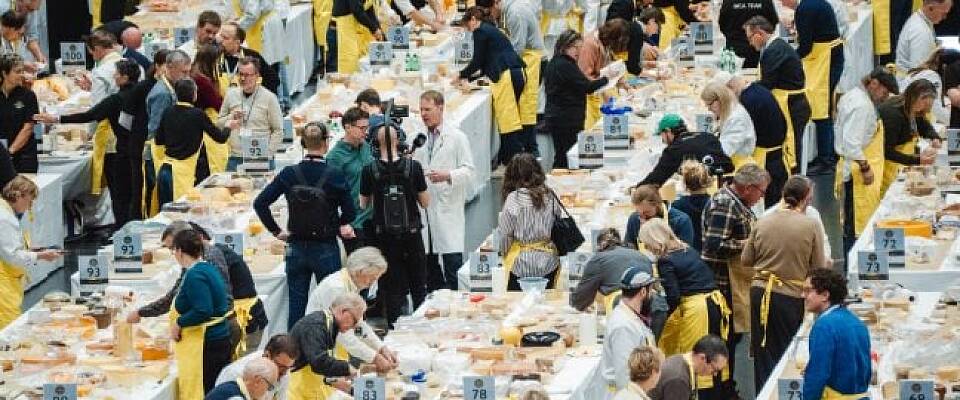 Rekordmange oster i årets VM