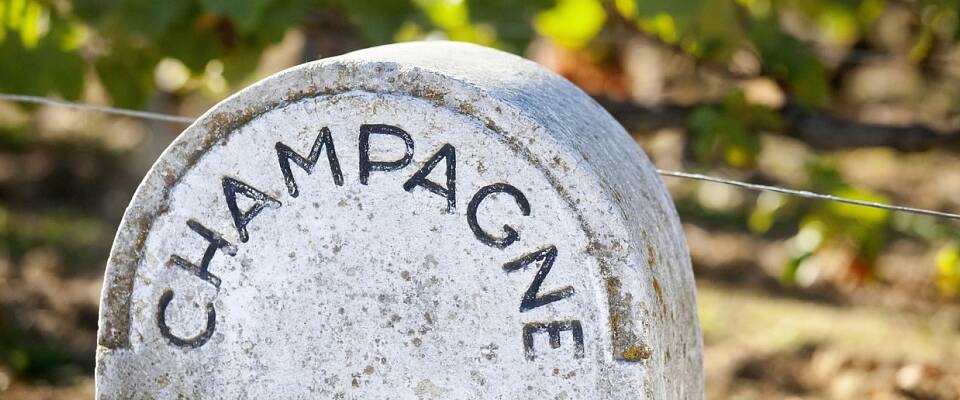 Lær alt om champagne av en proff