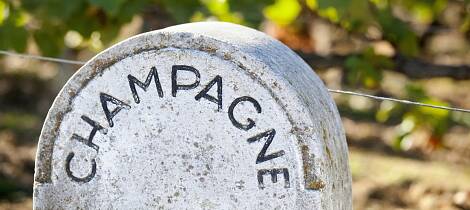 Lær alt om champagne av en proff