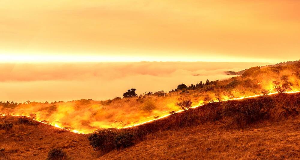 Slik håndterer vinprodusentene de mange krisene